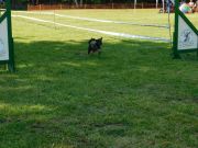 DSCN5253.JPG
