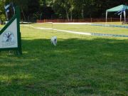 DSCN5267.JPG