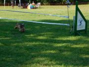 DSCN4980.JPG
