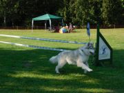 DSCN5067.JPG
