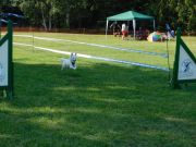 DSCN5184.JPG