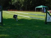 DSCN5261.JPG