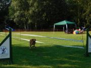 DSCN5156.JPG