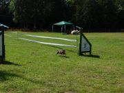 DSCN5325.JPG