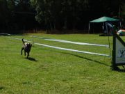 DSCN5390.JPG