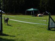 DSCN5298.JPG