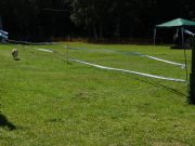DSCN5399.JPG