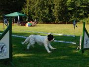 DSCN4879.JPG