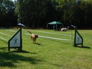 DSCN5304.JPG