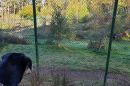IMG-20191031-WA0026.jpg